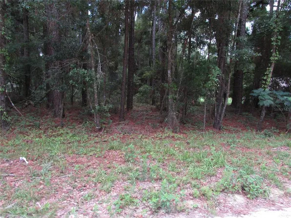 LOT 6 SW 40th Place Rd Lot 6, Ocala, FL 34481