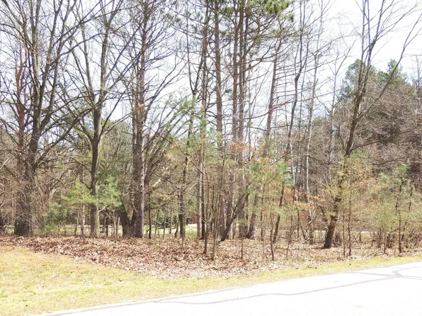 1026 York Dr, Weidman, MI 48893