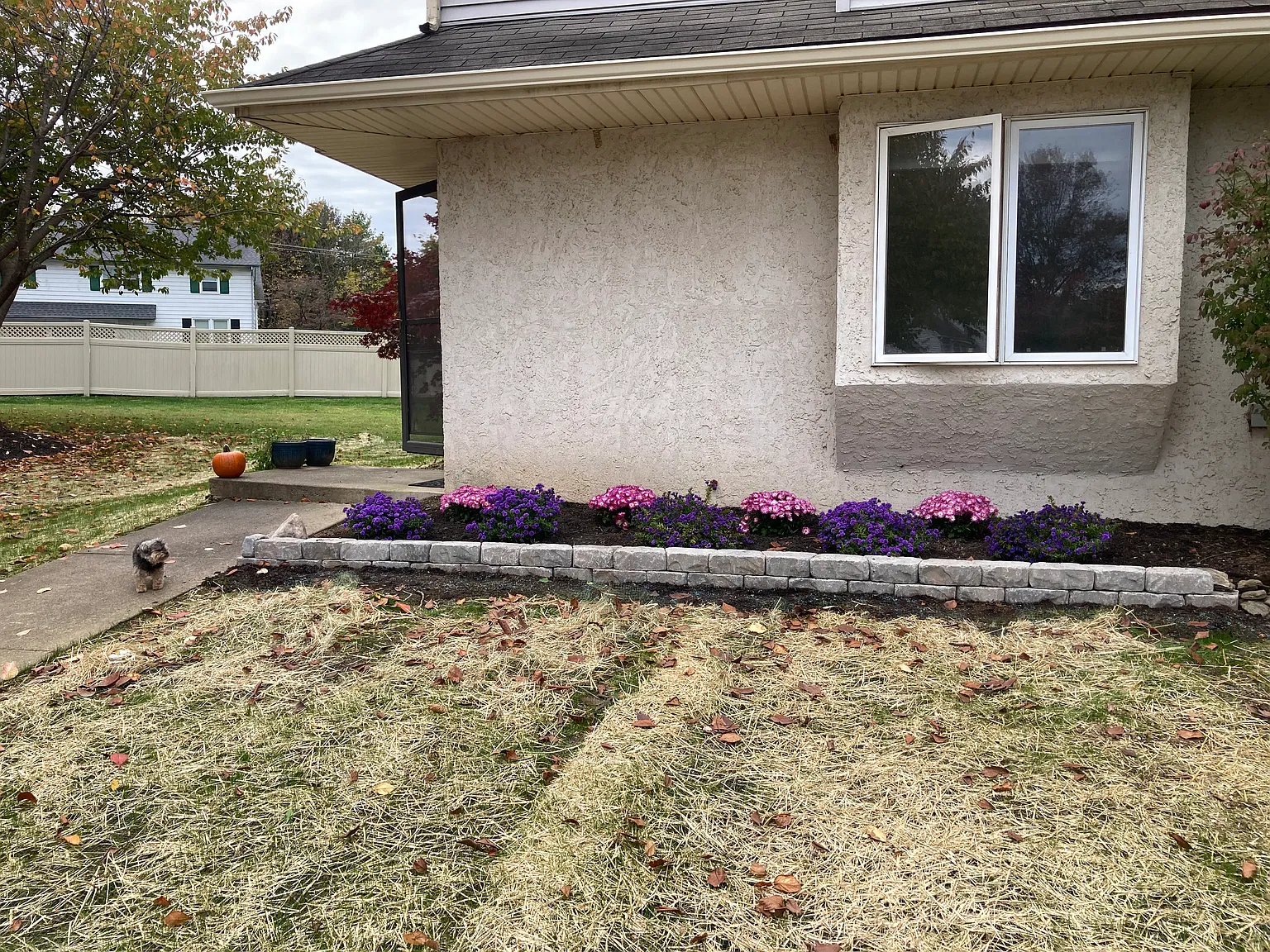 3 bed, 2.5 bath, 1598 sqft, $2,550 — Photo 1