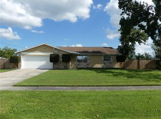 1151 Meadow Springs Ct, Kissimmee, FL 34744