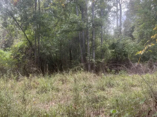 TRACT 1 Battle Rd, Ethel, LA 70730