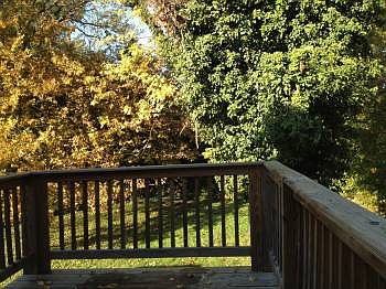 5th image of 3208 Chamberlayne Ave APT 4