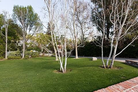 Another front yard shot
