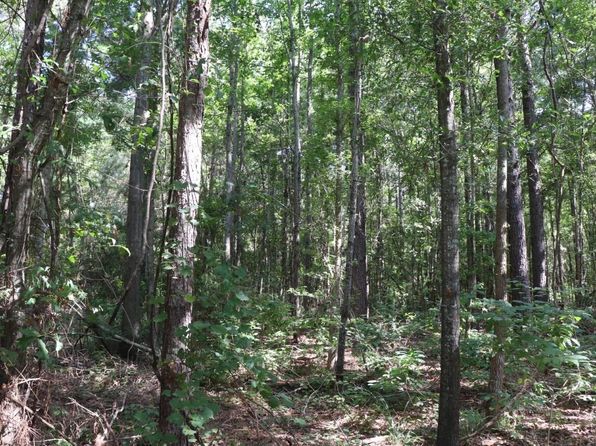 County Road 3198 E, Mount Enterprise, TX 75681