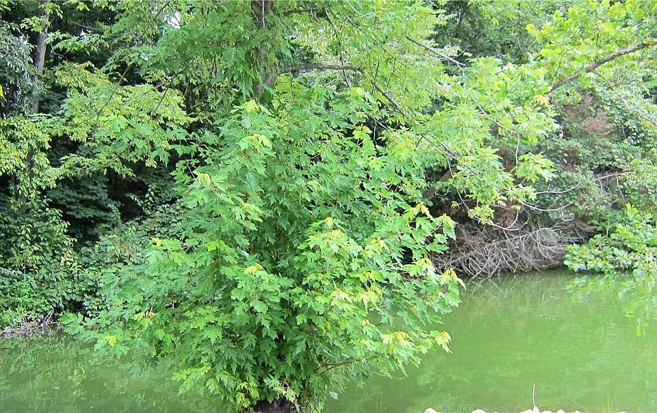 2nd image of 0 Lake Hills Dr