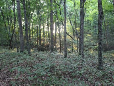 8143 State Route 770, Seaman, OH, 45679