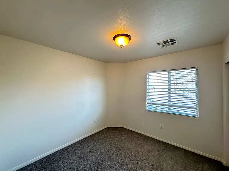 7305 Prussian Green St — Photo 14