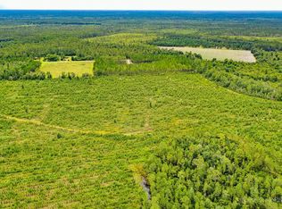 0 Suwannee Chapel Rd, Waycross, GA 31503