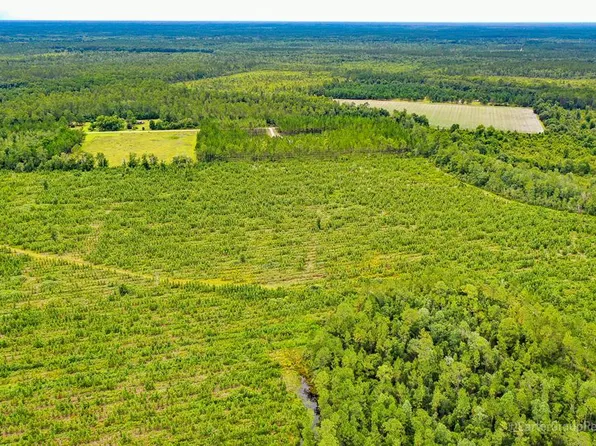 0 Suwannee Chapel Rd, Waycross, GA 31503