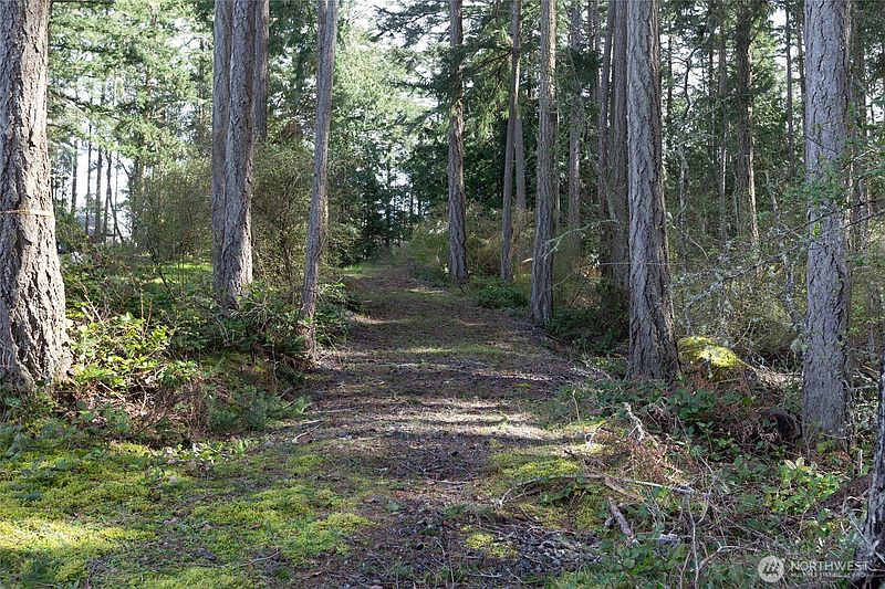3rd image of 87 Conifer Lane