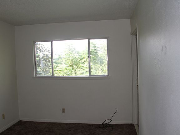 upstairs study or 3rd bedroom-overlooking Zilker
