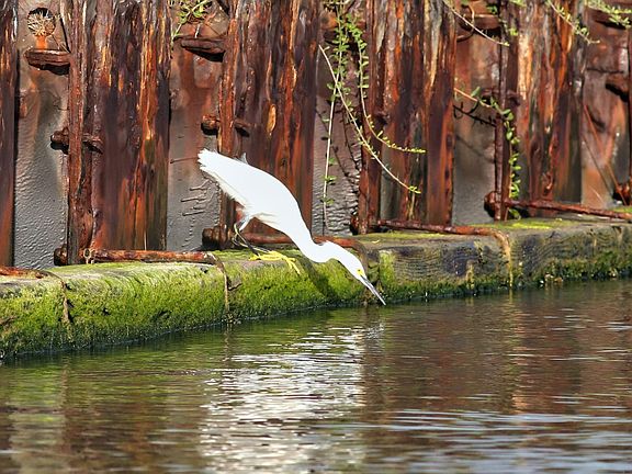 5th image of 2028 County Road 201