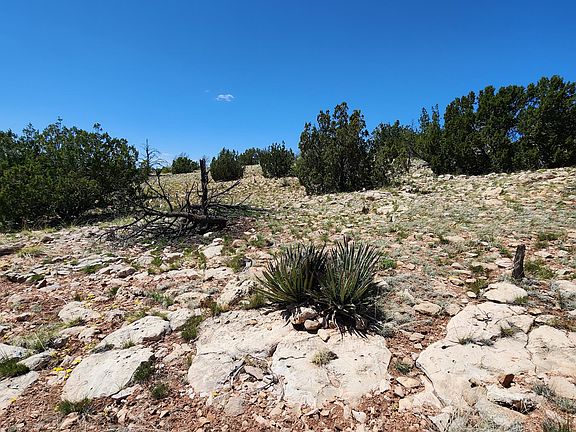 5th image of 6132 W Dusty Canyon Trl