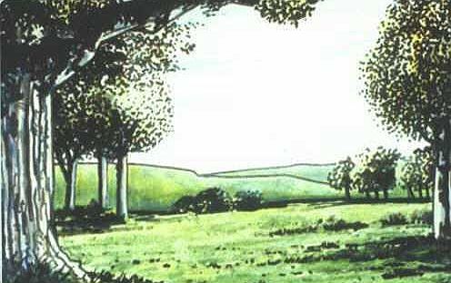 1st image of Lots 5 6 9 & 10 Lot