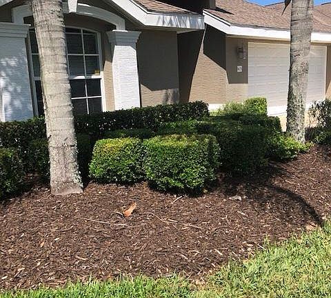 3rd image of 1425 Areca Palm Dr