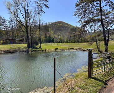 275 Republican Hill Rd, Newcomb, TN, 37819