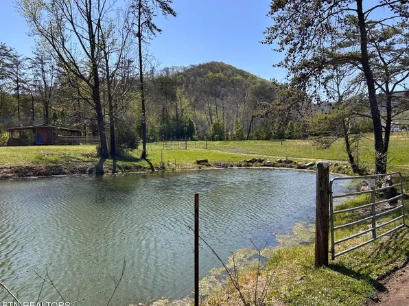 275 Republican Hill Rd, Newcomb, TN 37819