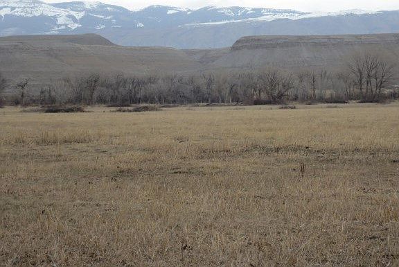2nd image of 3190 Road 31 1/2