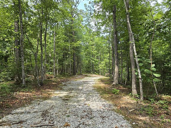 4th image of 0 Wilderness Trl