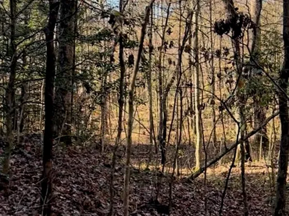 0 Mohawk Rd, Smiths Grove, KY 42171