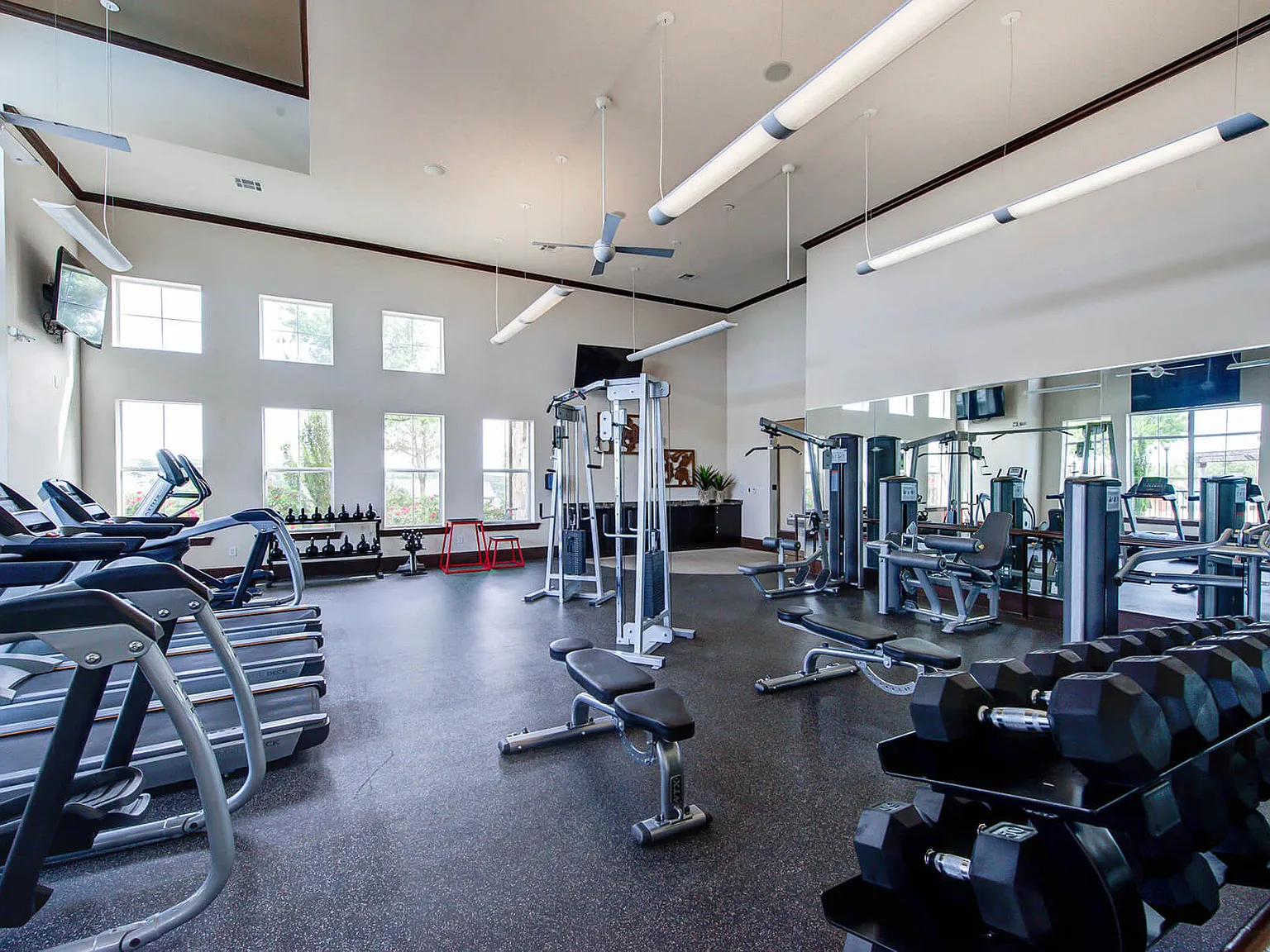 Callista Hill Country Apartments — Photo 3