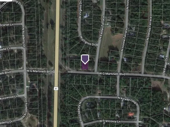 1197 W G Martinelli Blvd #3, Dunnellon, FL 34434