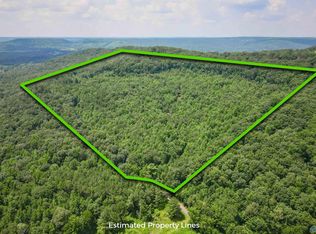 80 Pines Church Rd, Somerville, AL 35670