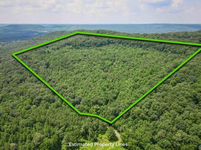 80 Pines Church Rd, Somerville, AL, 35670