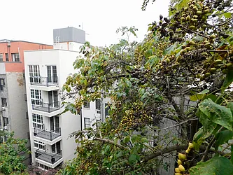 Rented by NYC Village Real Estate