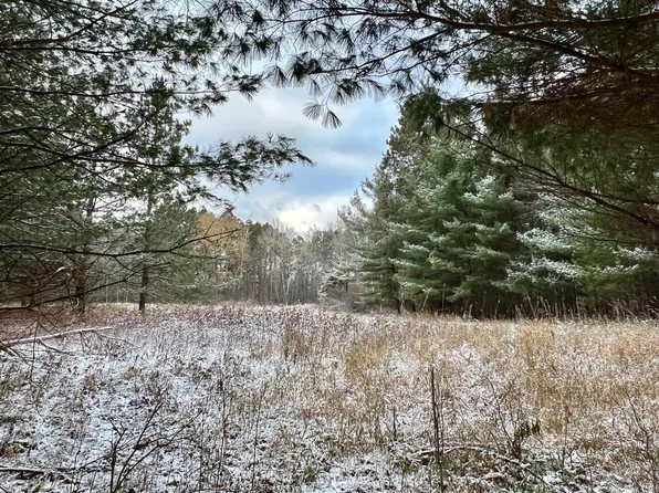 County Road 126 Rd NE, Longville, MN 56655