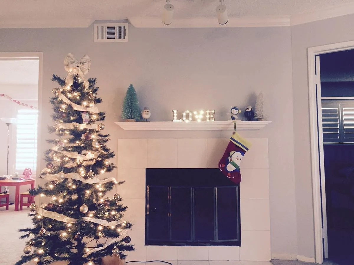2 bed, 816 sqft, $2,000 — Photo 4