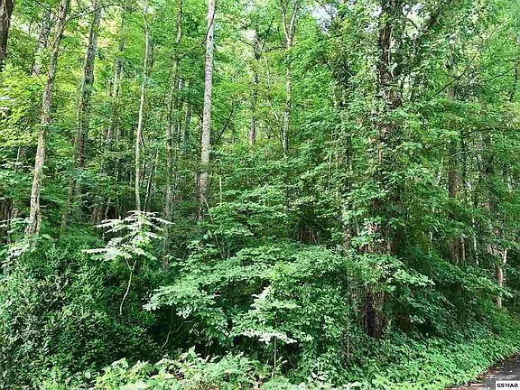 4th image of 0 Rocky Grove Rd Lot 807&2