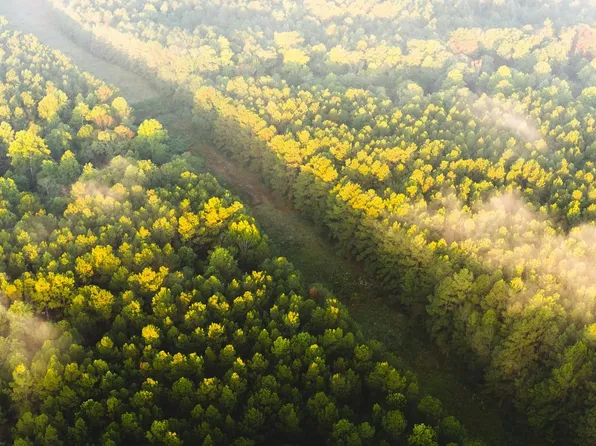 Grice Rd, Columbia, MS 39429