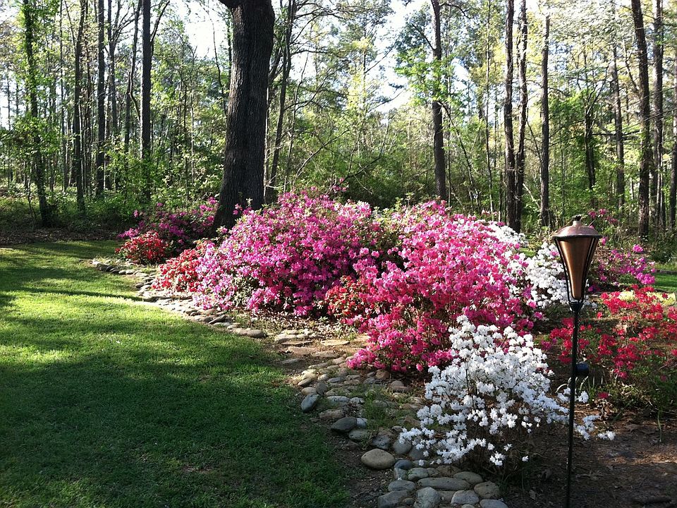 2nd image of 1033 Sandy Creek Rd