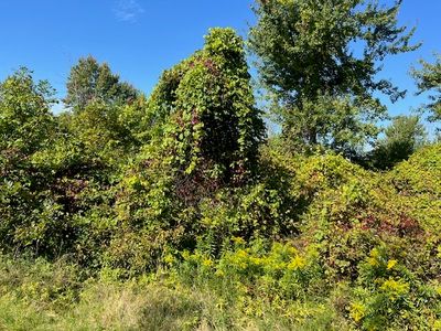 610 Ballantyne Rd #3, Scottsville, NY, 14546