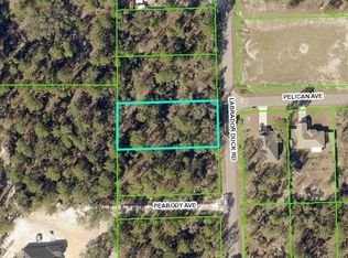 0 Labrador Duck Rd LOT 8, Brooksville, FL 34614