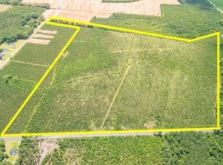 Hayestown Rd LOT WP001, Lake View, SC 29563