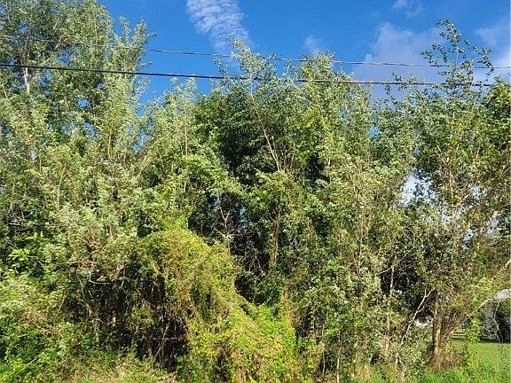 3rd image of 1545 Lake Clay Dr