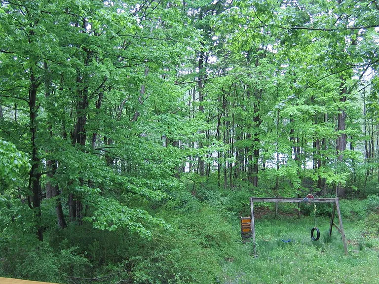 174 Pattee Hill Rd #2 — Photo 10