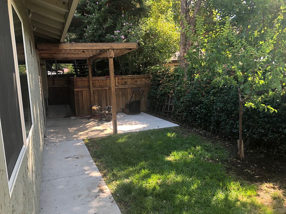 From back fence
