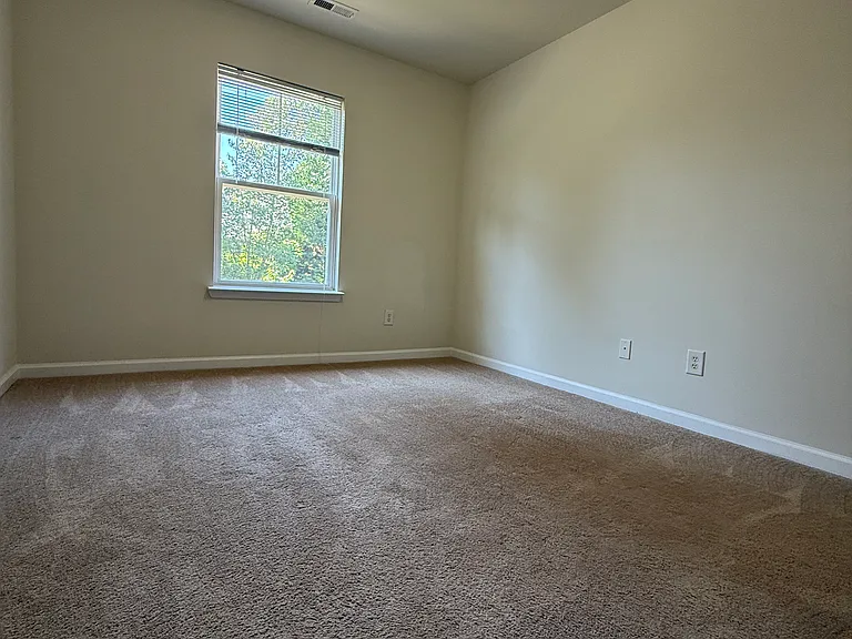 245 Linden Park Ln — Photo 21