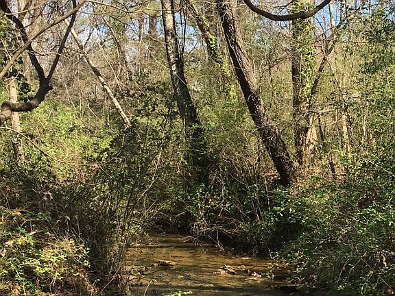 Creek