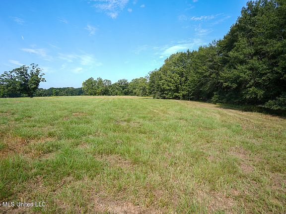 3rd image of Cane Creek Rd Lot 7