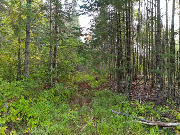 13450 S Swedish Hwy, Danbury, WI 54830