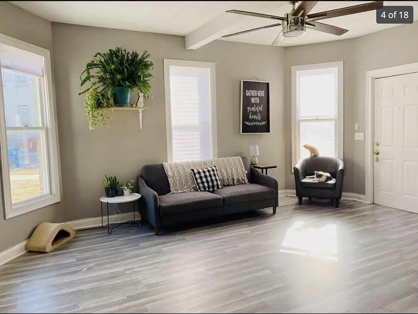 3 bed, 900 sqft, $1,500 — Photo 2