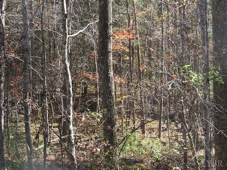 2nd image of 57 Dancing Creek Rd Lot 2