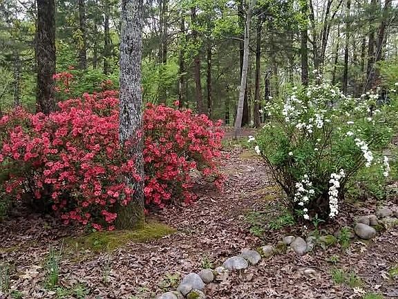 3rd image of 1655 Country Club Rd