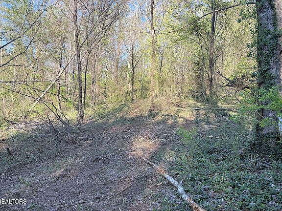 5th image of 1830 Rhea Rd