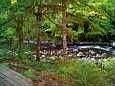 View From Back Deck