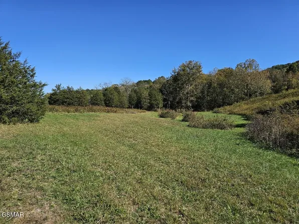 35 Shoreline Vis, Sharps Chapel, TN 37866
